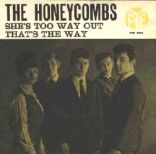 The Honeycombs
